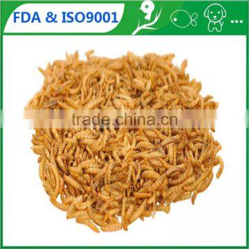 Organic animal feed dried mealworm goody pet food