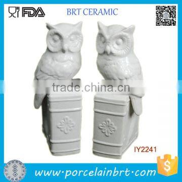 White Glazed Owls on Books Ceramic Bookend