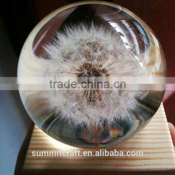 Custom Real dandelion paperweight gift