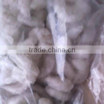 Croaker of Vannamei Shrimp photo-2