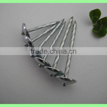 Kenya Umbrella Roofing Nails