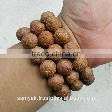 Buddha Chitta 14 Beads Bodhi Seed Genuine Indonesian Phoenix Eye Mala Phrengba photo-4