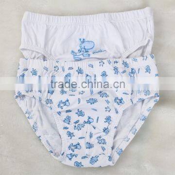 Kids Underwear Wholesale Designed Underwear Teen Sexy Boys Briefs photo-3
