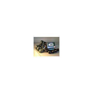 Taiwan Tire Pressure Monitoring System, TPMS
