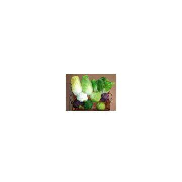 Artificial vegetable