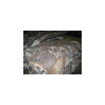 Dry and Wet Salted Donkey