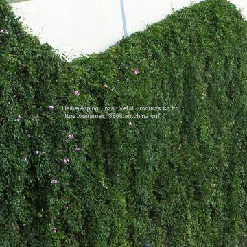 Ecological Mesh & Climber Trellis Mesh photo-5