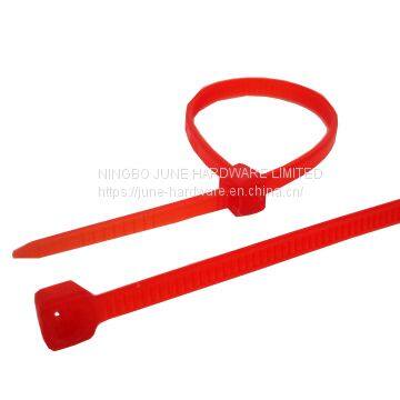 PA66 nylon cable tie