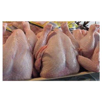 Best Price Grade Quality Frozen Whole Chicken