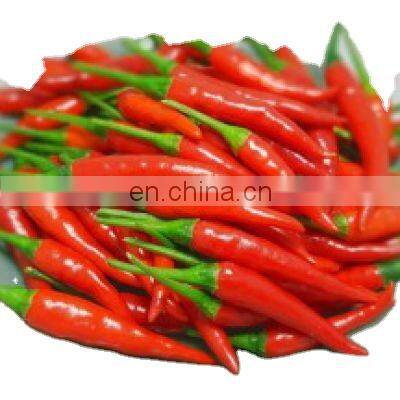 High quality frozen chili with best price/Wholesale bulk frozen chili with good price in Vietnam