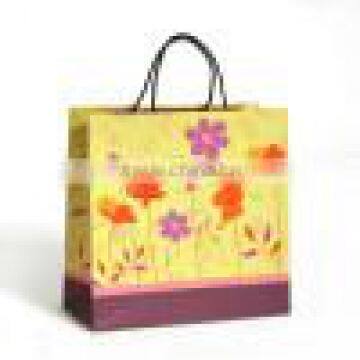 Cloth Handle Gift Bag, Promotion Shopping Bag, Paper Bag