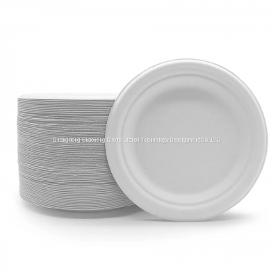 Custom biodegradable sugarcane bamboo water proof 7 inch round plate disposable fast-food plate