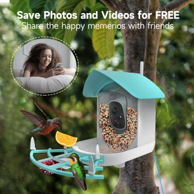 Ringsee 2.4 GHz Wi-Fi Smart Bird Feeder Camera Solar Charging 2.0MP HD Ip65 Weatherproof Network Camera for Outdoor Use photo-2