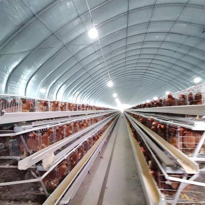 Fully automatic chicken cage
