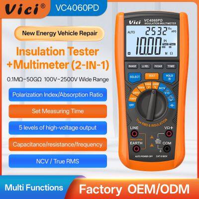 Vici VC4060PD 100V 250V 500V 100V 2500V 50GΩ Insulation Multimeter