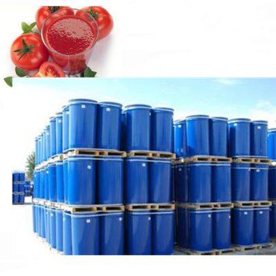 Industry Large Tomato Paste Production Line Mini Complete Industrial Concentrate Tomato Paste Processing Plant