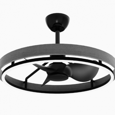 Ventilateur plafonnier avec lumière / Ventilateur plafonnier pour chambre à fréquence variable (Wechat : 13510231336)