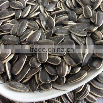 sunflower seeds for human consumption organic sunflower seeds