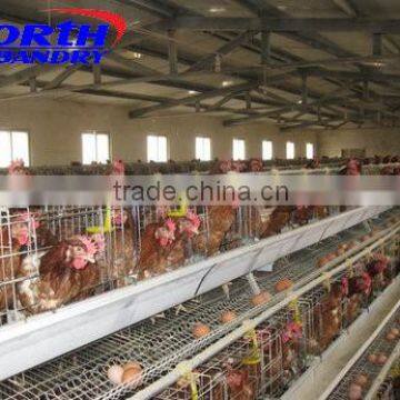Chicken Farms Plastic Chicken Feeders