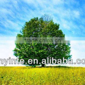 Landscape mouse pads promotional