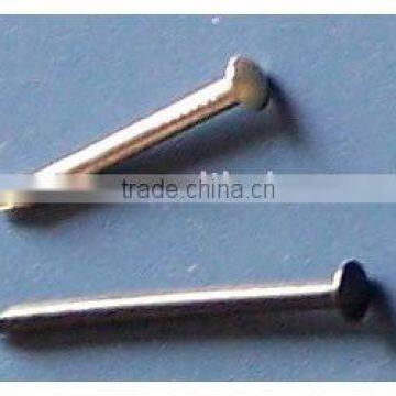 Polished Iron nail