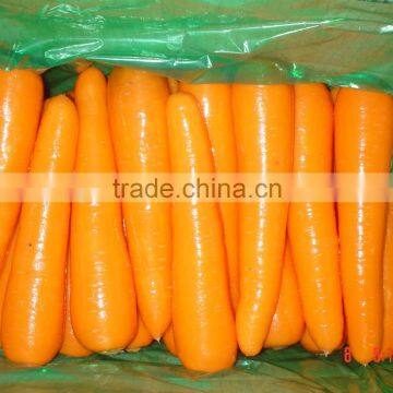 Fresh Carrot Supplier