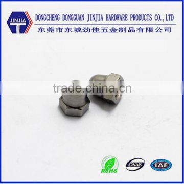 Stainless steel acorn nuts cap screw