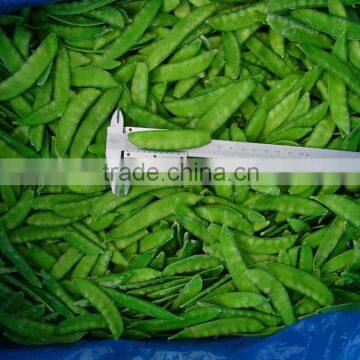 IQF frozen pea pods with BRC certificate