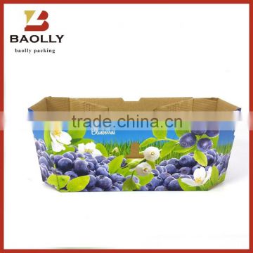 Standard Foldable blueberry Packing Cardboard Box