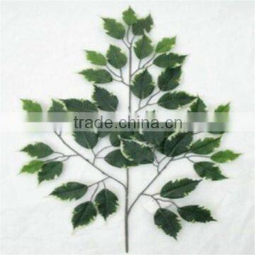 Artificial ficus leaf with white edges