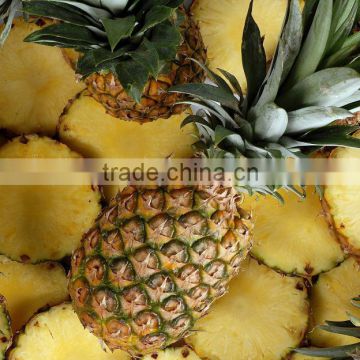 Fresh sweet Pineapple