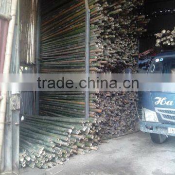 Selling bamboo pole high quality