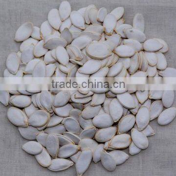 Snow White Pumpkin Seeds , Sesame Seed , Egussi Seed for Sale