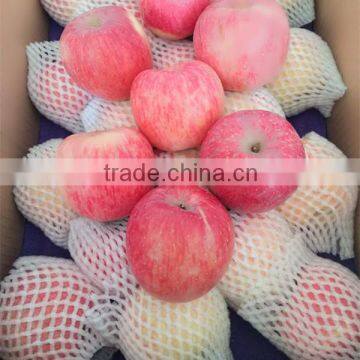 shandong fresh red fuji apple exporter in nortern China