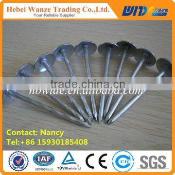 bright shining building brick wall concrete nails