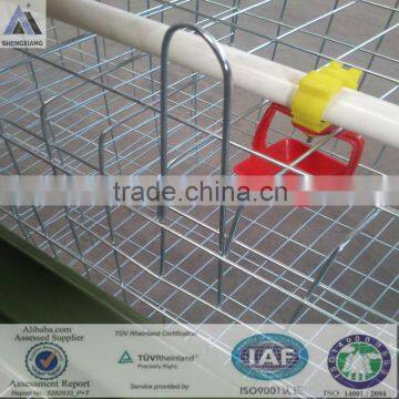 TUV certicification 3layer cages hot dipped galvanized with Auto water system 20 years lifetime egg laying chicken cages