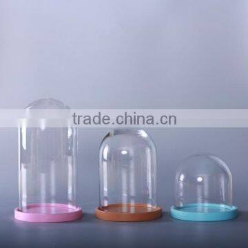 small glass dome with colorful base