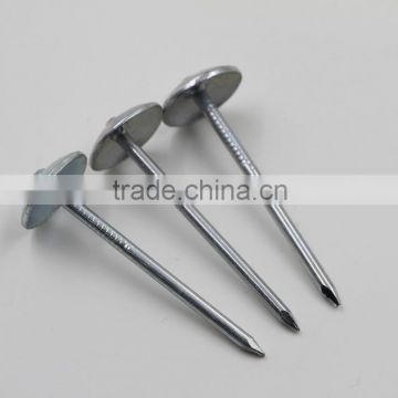 Galvanized Umbrella large head roofing nails