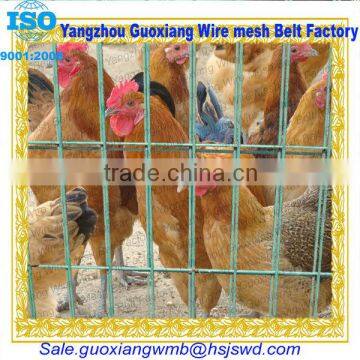 Stainless steel animal cages stainless steel