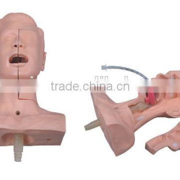 Suction Training Model