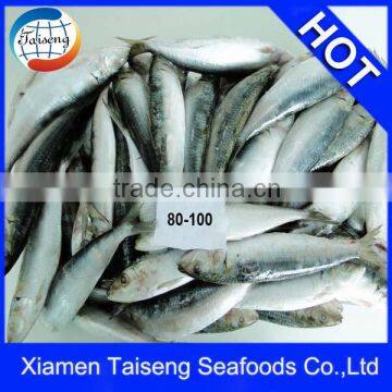 Frozen Fish Sardines Companies