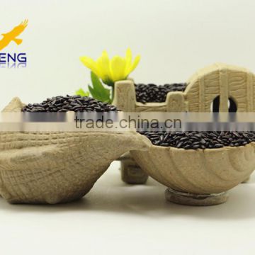 Chinese organic black rice