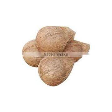 Semi Husked Coconuts From Pollachi photo-5