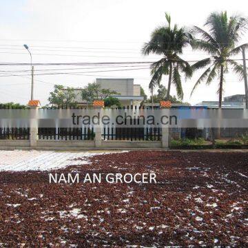 Champignon Noir photo-5