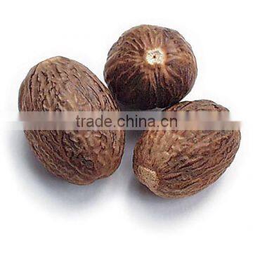 Nutmeg Seeds Without Shell Indian photo-5
