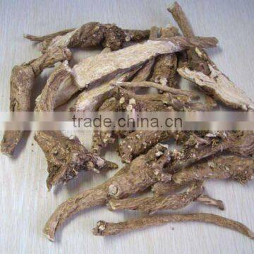 Radix Gypsophila With Superior Quality and Reasonable Price