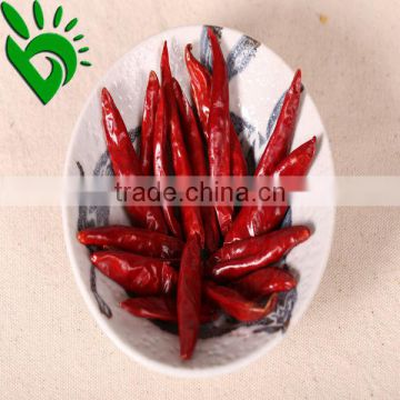 dried red chilli supplier