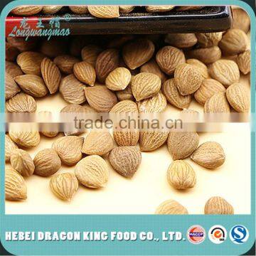 Wild Bitter Apricot Seeds