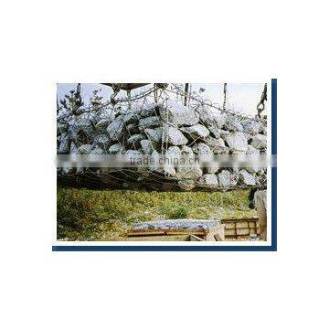 gabion mesh