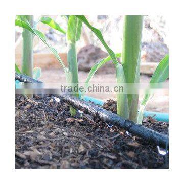 Farm Irrigation Drip Tape for Agriculture Watering 0.2mm Wall Thickness photo-5
